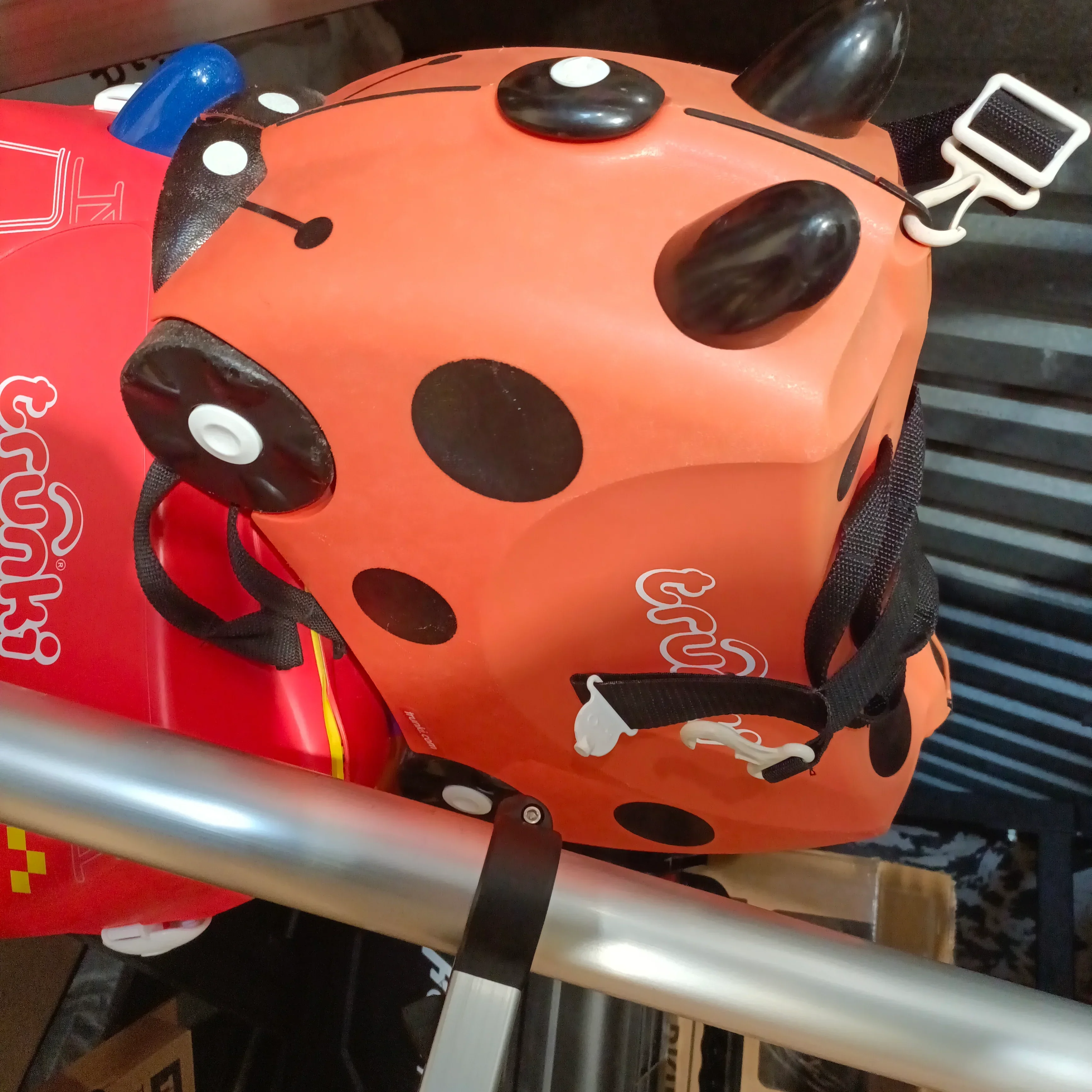Ladybird Trunki - Used - Image 2