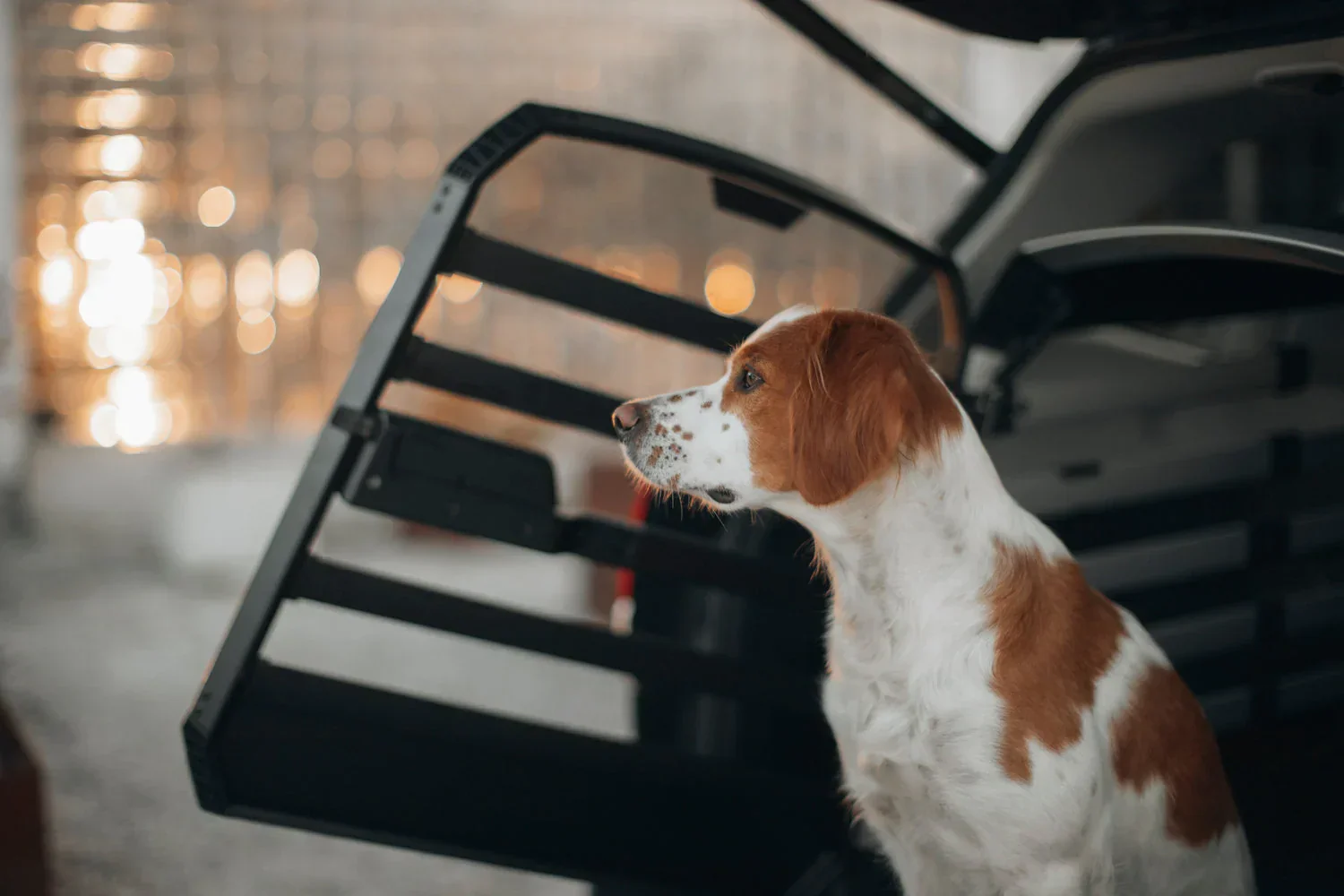Thule Allax Dog Crate - XS - Image 4